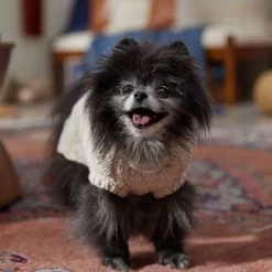 Frisco Sherpa Lined Chunky Cable Knit Dog & Cat Sweater -Pet Cat Supplies Shop 718518 PT7. AC SS1800 V1692378338