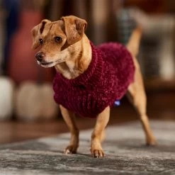 Frisco Cozy Textured Chenille Dog & Cat Sweater -Pet Cat Supplies Shop 718614 PT7. AC SS1800 V1692378337