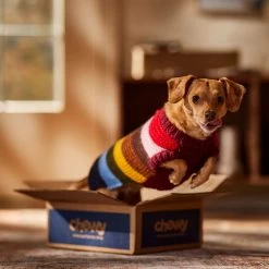 Frisco Chunky Knit Multi-Stripe Dog & Cat Sweater 16 Frisco Chunky Knit Multi-Stripe Dog & Cat Sweater -Pet Cat Supplies Shop 718662 PT7. AC SS1800 V1692378219