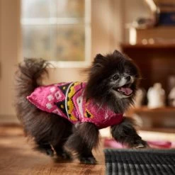 Frisco Bold Nordic V-Neck Dog & Cat Sweater 16 Frisco Bold Nordic V-Neck Dog & Cat Sweater -Pet Cat Supplies Shop 718710 PT7. AC SS1800 V1692377763