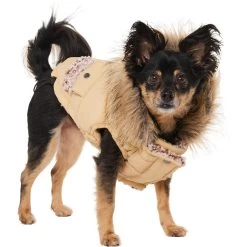 Frisco Heavy Weight Matte Quilted Dog & Cat Parka With Cozy Fleece Lining -Pet Cat Supplies Shop 719654 PT2. AC SS1800 V1703184629