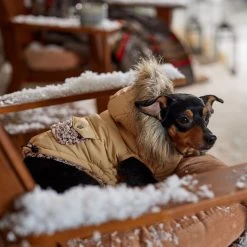 Frisco Heavy Weight Matte Quilted Dog & Cat Parka With Cozy Fleece Lining -Pet Cat Supplies Shop 719654 PT7. AC SS1800 V1692376037