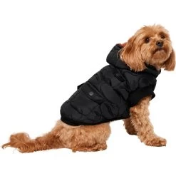 Frisco Heavy Weight Matte Quilted Volume Dog & Cat Puffer -Pet Cat Supplies Shop 719750 PT2. AC SS1800 V1703184628