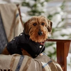 Frisco Heavy Weight Matte Quilted Volume Dog & Cat Puffer -Pet Cat Supplies Shop 719750 PT7. AC SS1800 V1692377763