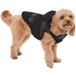 Frisco Medium Weight Faux Leather Dog & Cat Parka With Faux Fur Trimmed Hood, Black -Pet Cat Supplies Shop 719798 PT2. AC SS1800 V1703184628