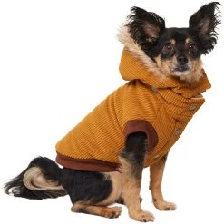 Frisco Heavy Weight Lux Corduroy Insulated Dog & Cat Coat With Fur Trimmed Hood -Pet Cat Supplies Shop 719966 PT2. AC SS1800 V1703184628