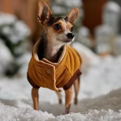 Frisco Heavy Weight Lux Corduroy Insulated Dog & Cat Coat With Fur Trimmed Hood -Pet Cat Supplies Shop 719966 PT7. AC SS1800 V1692377819