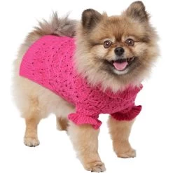 Frisco Ruffle Knit Pointelle Dog & Cat Turtleneck Sweater -Pet Cat Supplies Shop 720646 PT2. AC SS1800 V1703194381