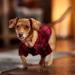 Frisco Red Tartan Plaid Dog & Cat Flannel Shirt -Pet Cat Supplies Shop 720790 PT7. AC SS1800 V1693401090