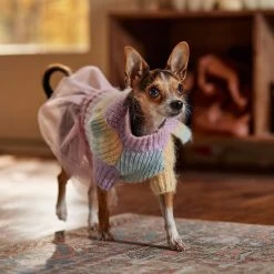 Frisco Rainbow Dog & Cat Sweater Dress 16 Frisco Rainbow Dog & Cat Sweater Dress -Pet Cat Supplies Shop 720934 PT7. AC SS1800 V1693401665