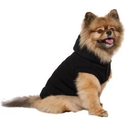 Frisco Quilted Fleece Dog & Cat Pullover Hoodie -Pet Cat Supplies Shop 721030 PT2. AC SS1800 V1703194381