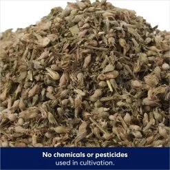 Frisco Natural Catnip & Hartz Cattraction Silver Vine & Catnip Gator Cat Scratcher Toy, Color Varies -Pet Cat Supplies Shop 737470 PT3. AC SS1800 V1683212146