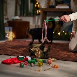 Frisco Holiday Cozy Christmas Sack Variety Pack Cat Toy With Catnip -Pet Cat Supplies Shop 740054 PT3. AC SS1800 V1694812461