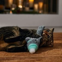 Frisco Holiday Interactive Flopping Seal Electronic Cat Toy With Catnip 12 Frisco Holiday Interactive Flopping Seal Electronic Cat Toy With Catnip -Pet Cat Supplies Shop 740102 PT4. AC SS1800 V1695043876