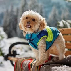 Frisco Heavy Weight Urban City Colorblock Dog & Cat Parka With Sherpa Lining -Pet Cat Supplies Shop 742262 PT7. AC SS1800 V1692378161