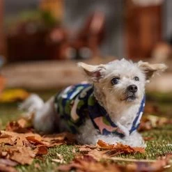 Frisco Medium Weight Urban City Camo Printed Dog & Cat Hooded Coat -Pet Cat Supplies Shop 742358 PT7. AC SS1800 V1692376368