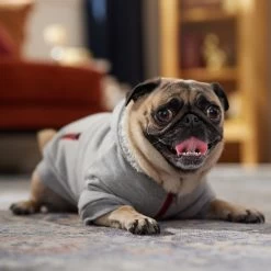 Frisco Sweatshirt Fleece Dog & Cat Hoodie With Sherpa Lining -Pet Cat Supplies Shop 742550 PT7. AC SS1800 V1692378690