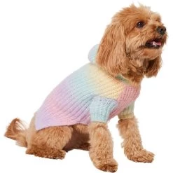 Frisco Soft Multi Stripe Ombre Dog & Cat Hooded Sweater -Pet Cat Supplies Shop 742838 PT2. AC SS1800 V1703194379