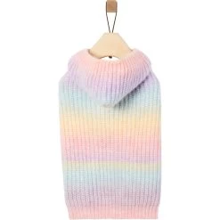 Frisco Soft Multi Stripe Ombre Dog & Cat Hooded Sweater -Pet Cat Supplies Shop 742838 PT3. AC SS1800 V1693233982