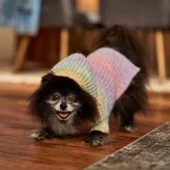 Frisco Soft Multi Stripe Ombre Dog & Cat Hooded Sweater -Pet Cat Supplies Shop 742838 PT7. AC SS1800 V1692376365