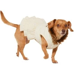 Frisco Medium Weight Quilted Ruffle Tiered Dog & Cat Dress -Pet Cat Supplies Shop 744262 PT2. AC SS1800 V1703194436