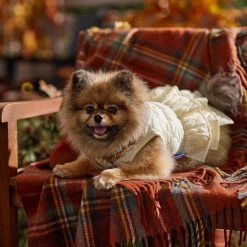 Frisco Medium Weight Quilted Ruffle Tiered Dog & Cat Dress -Pet Cat Supplies Shop 744262 PT7. AC SS1800 V1693401666