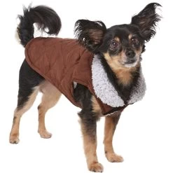 Frisco Medium Weight Quilted Dog & Cat Coat With Cozy Sherpa Lining -Pet Cat Supplies Shop 744310 PT2. AC SS1800 V1703194386