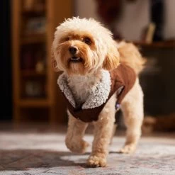 Frisco Medium Weight Quilted Dog & Cat Coat With Cozy Sherpa Lining -Pet Cat Supplies Shop 744310 PT7. AC SS1800 V1692375981