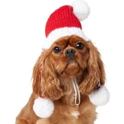 Frisco Chunky Knit Santa Dog & Cat Hat -Pet Cat Supplies Shop 744878 PT2. AC SS1800 V1694812755