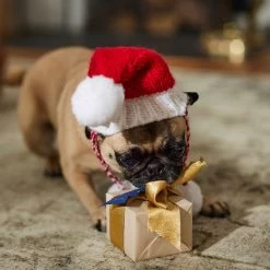 Frisco Chunky Knit Santa Dog & Cat Hat -Pet Cat Supplies Shop 744878 PT5. AC SS1800 V1694793814