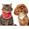 Frisco Reversible Candy Cane Cozy Knit Faux Fur Dog & Cat Pullover Bandana, 1 Count -Pet Cat Supplies Shop 745294 MAIN. AC SS1800 V1694813782