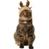 Frisco Sherpa Reindeer Dog & Cat Hat With Bells 2 Frisco Sherpa Reindeer Dog & Cat Hat With Bells -Pet Cat Supplies Shop 745646 MAIN. AC SS1800 V1694802017