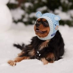 Frisco Nordic Ears Sweater Knit Dog & Cat Hat -Pet Cat Supplies Shop 745710 PT5. AC SS1800 V1695671059