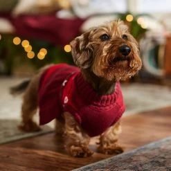 Frisco Nordic Sequin Dog & Cat Sweater Dress -Pet Cat Supplies Shop 745886 PT7. AC SS1800 V1694793874