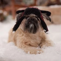 Frisco Tartan Plaid Dog & Cat Trapper Hat -Pet Cat Supplies Shop 746750 PT5. AC SS1800 V1694800749