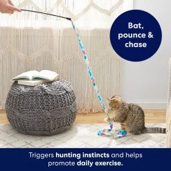 Frisco Fabric Teaser Wand Cat Toy & Frisco Bird With Feathers Teaser Wand Cat Toy With Catnip 14 Frisco Fabric Teaser Wand Cat Toy & Frisco Bird With Feathers Teaser Wand Cat Toy With Catnip -Pet Cat Supplies Shop 962094 PT3. AC SS1800 V1694782977