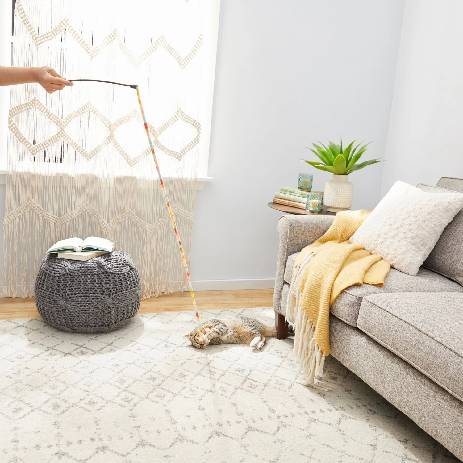 Frisco Fabric Teaser Wand Cat Toy & Frisco Bird With Feathers Teaser Wand Cat Toy With Catnip 7 Frisco Fabric Teaser Wand Cat Toy & Frisco Bird With Feathers Teaser Wand Cat Toy With Catnip - Image 5