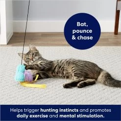 Frisco Fabric Teaser Wand Cat Toy & Frisco Bird With Feathers Teaser Wand Cat Toy With Catnip 19 Frisco Fabric Teaser Wand Cat Toy & Frisco Bird With Feathers Teaser Wand Cat Toy With Catnip -Pet Cat Supplies Shop 962094 PT8. AC SS1800 V1694782976