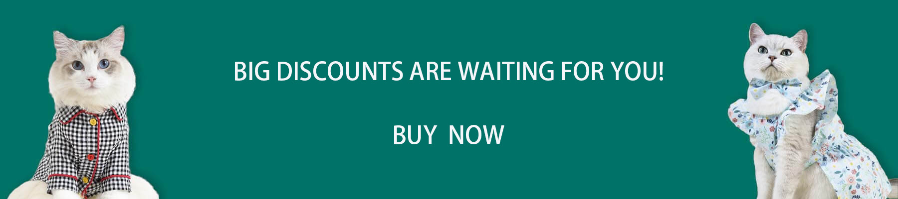 Pet Cat Supplies Shop -Pet Cat Supplies Shop 1